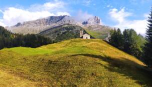 IMG_20230801_182416 IMG_20230801_182416