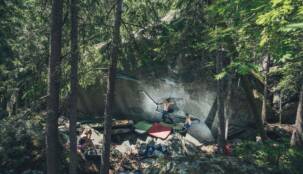 Manox_Henry_MagicWood_1 Manox_Henry_MagicWood_1